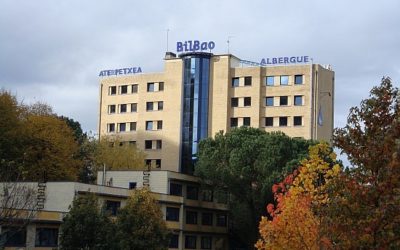 LA PRIVATIZACIí“N DEL SECTOR PíšBLICO NO ES LA SOLUCIí“N