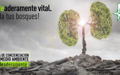 Juventudes Socialistas a: “La Ley de Montes del PP es un atentado contra nuestro patrimonio forestal”