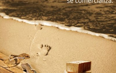 JSE-Egaz: Â“Nuestro patrimonio natural se ve amenazado seriamente por las políticas especulativas de la derechaÂ”