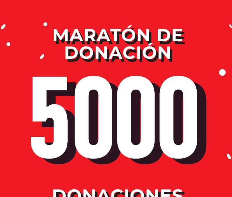 Juventudes Socialistas de Euskadi hace un llamamiento a la población vasca para sumarse a la Maratón de Donación de Sangre del 17 al 31 de enero